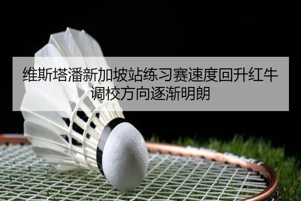 维斯塔潘新加坡站练习赛速度回升红牛调校方向逐渐明朗